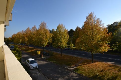 Umgebung